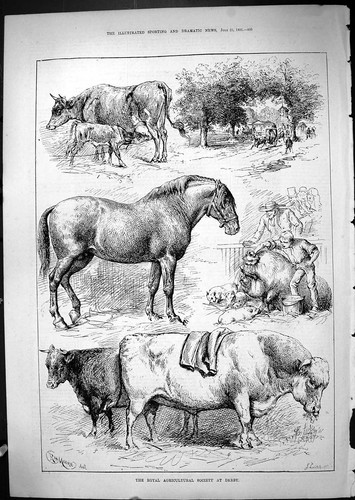 Old antique print 1881 - antique,