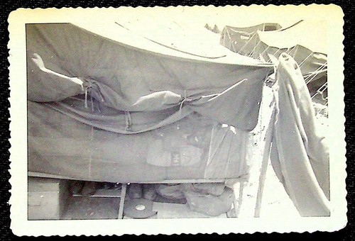 Snapshot soldier lying in - lying,