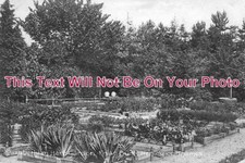 OX 89 - Elizabethan Herb
