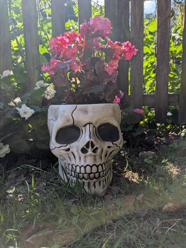 Large gothic skull planter - skull,