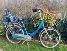 Gazelle Bloom Dutch Family