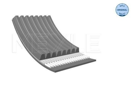 Meyle ribbed belt - meyle, cf
