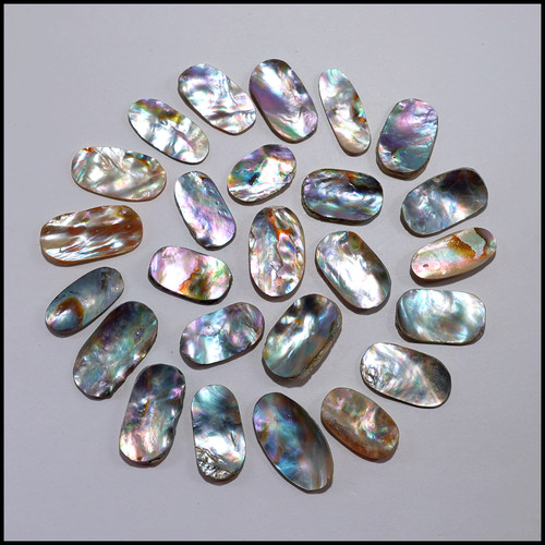 Mermaid shells pc - shells~,