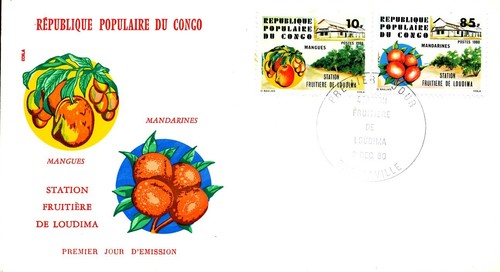 Agriculture fruits packing - agriculture,