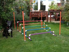 Dog Agility 5 piece Long Jump