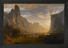 Down Yosemite Valley Framed