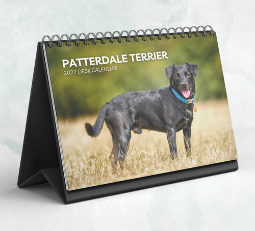 Patterdale terrier desk - patterdale,
