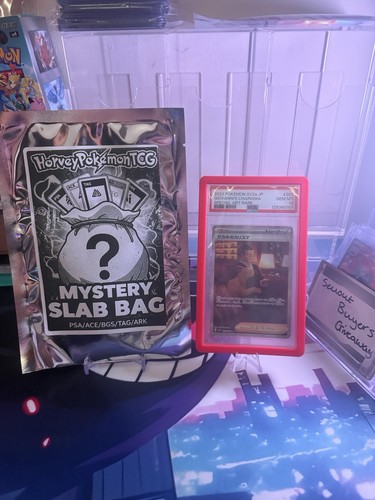 Mystery slab bags - mystery,