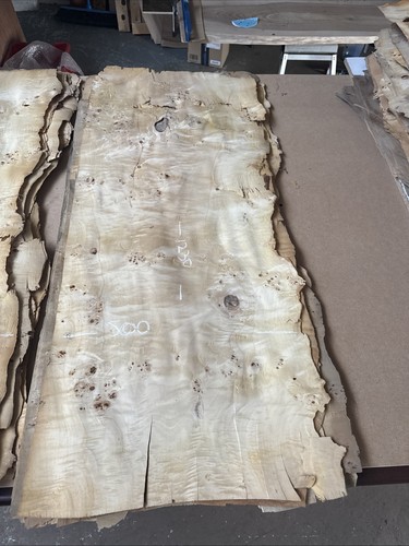 Poplar mapa burl burr - burl, veneer