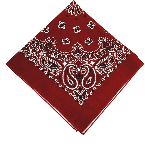 Paisley pattern bandana head - paisley,