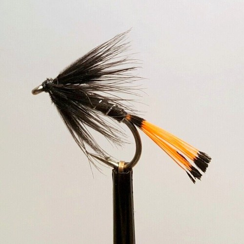Black pennell wet trout - x,
