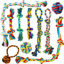 ZENO Dog Toys 10 Pack |