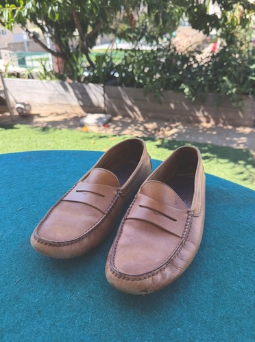 Tod driving loafers - loafers, shoes