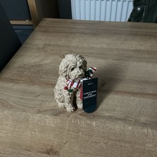Next Cockapoo ￼ Festive