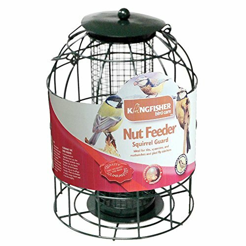 Kingfisher deluxe wild garden - kingfisher,