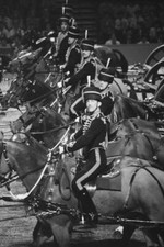Officers the king troop - of,