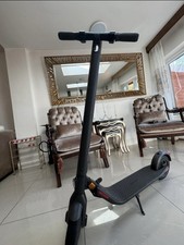 Black Segway Ninebot E22E Electric Scooter