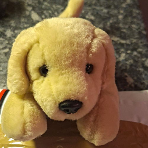 Andrex puppy years beige - andrex, 30