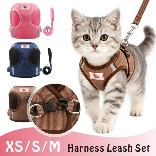 Small dog harness leash set - dog,