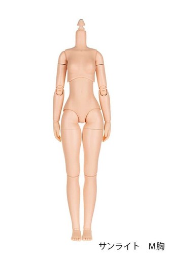 Obitsu sbh 24cm female - obitsu, /