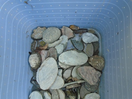 Pound selection cornish - 5,