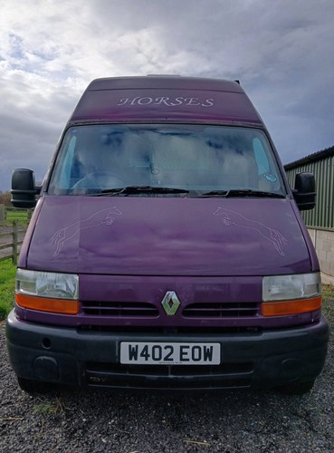 Horse box renault master - horse,