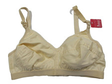 Vintage Anny Bra Panty Banshi