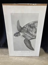 Gary Hodges Limited Edition