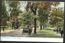 pk98324:Postcard-Vintage View Horse & Buggies,Delaware Avenue,Buffalo,New York
