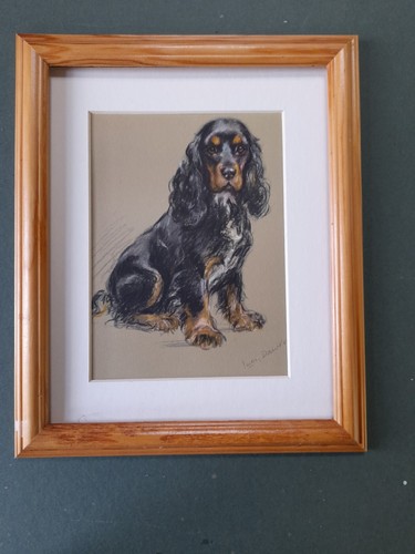 Lucy dawson springer spaniel - lucy,