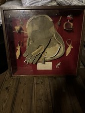 Antique Falconry Showcase