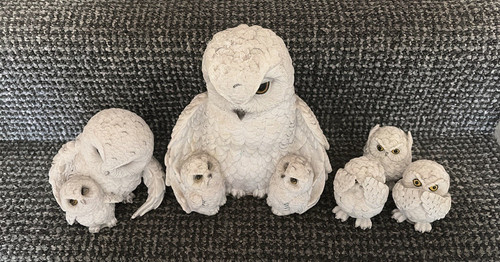 Set white owl - white, figurines