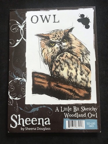 Woodland owl bird - owl, sheena