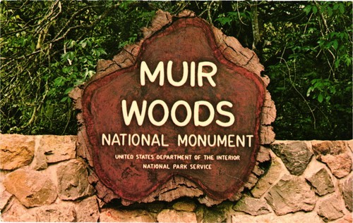 Muir woods national monument - muir,