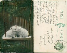 Hold Tight Kittens Cats Wildt & Kray 1000 B GB KEVII Stourbridge Cancel 