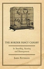 The border fancy canary - the,