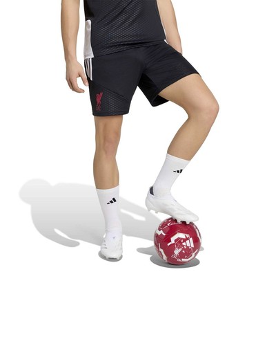 Liverpool adidas shorts - fc,