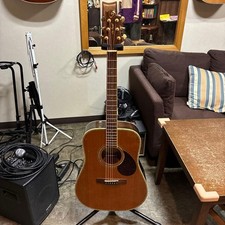 Greg bennett acoustic - greg,