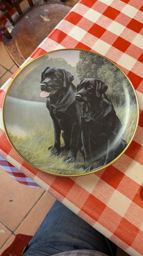 Franklin mint sporting - franklin,