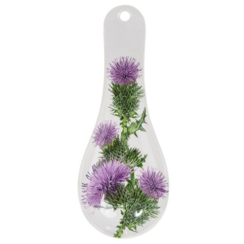 Thistle flowers floral - thistle,