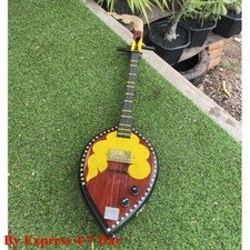 Electric Harp Guitar Special