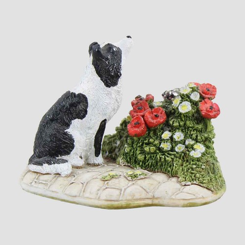 Little lost dog lilliput - little,