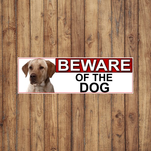 Yellow labrador beware - yellow, of