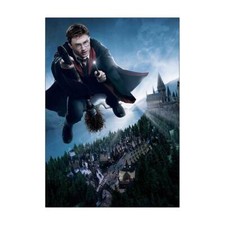 Harry Potter (flying) Movie