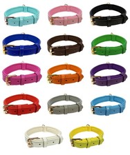Vibrant Genuine Leather Dog