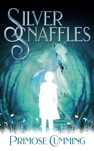 Silver snaffles - silver,