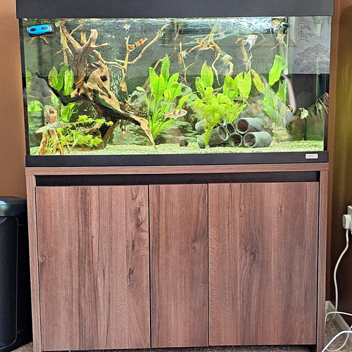 Fluval roma 260l - roma, freshwater