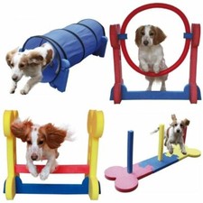 Dog Agility Training Rosewood
