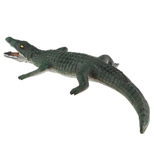 Large crocodile wildlife - large,