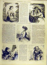 Old Antique Print Camelia